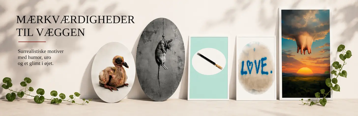 Le Provo – plakater med humor, poesi og visuel provokation