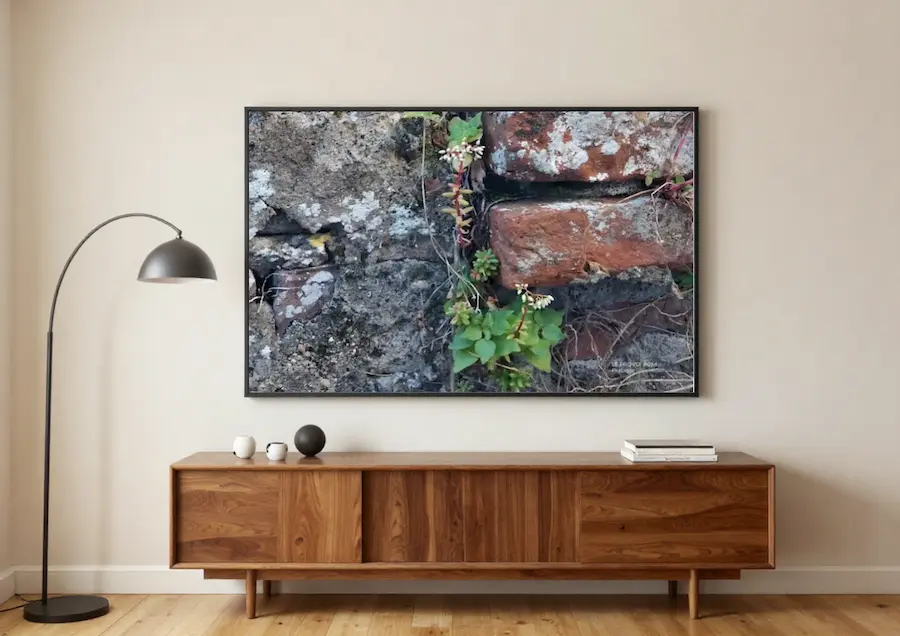 Practice shown as wall art